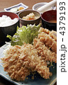 豚カツ定食