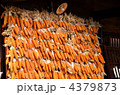 4379873