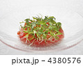 マグロのカルパッチョ