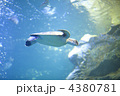 4380781