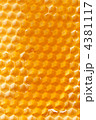 4381117