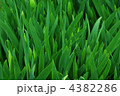 4382286