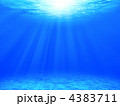 温かい海