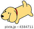 犬