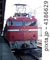 黒磯ハンドル訓練　EF81+24系　蓮田駅