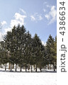 札幌市円山公園