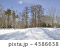札幌市円山公園