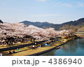 花見風景