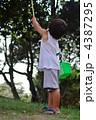 夏の子供