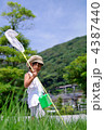 夏の子供