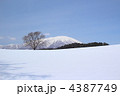 雪の小岩井農場と岩手山