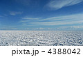 4388042