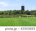 岡山 吉備路 備中国分寺の五重塔