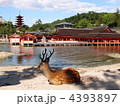 宮島 厳島神社