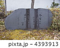 観月堂