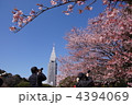 3月　カンザクラ・バラ科08