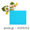 4395252