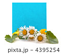 4395254