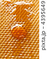 4395649