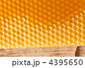 4395650