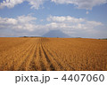 4407060