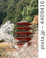 春の長谷寺