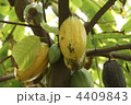 4409843