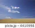 4410998