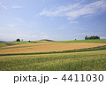 4411030