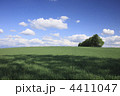 4411047