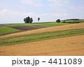 4411089