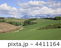 4411164