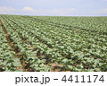 4411174