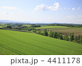 4411178