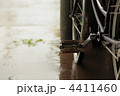 雨宿り