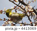 待ちかねた春 待ちかねた春