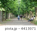 穏やかな午後 穏やかな午後