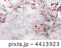 4413923