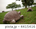 カメ