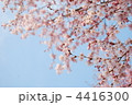 4416300
