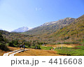 栂池自然園