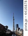 ビルの間のスカイツリー