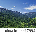 新緑の白神山地