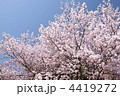 4419272