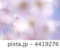 4419276