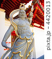 阿吽