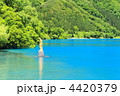 初夏の田沢湖