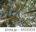 4420459