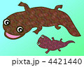 サンショウウオ　親子