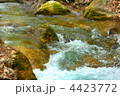 4423772